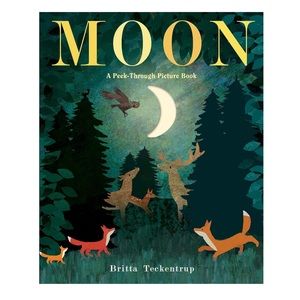 Moon Hardcover Peak-Through Picture Book by Britta Teckentrup